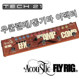 Tech21 - Acoustic Fly Rig / 어쿠스틱 플라이릭 멀티이펙터 